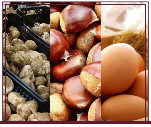 Jornadas gastronómicas